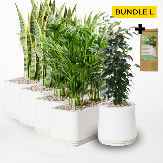 Wohlfühlraum Bundle L