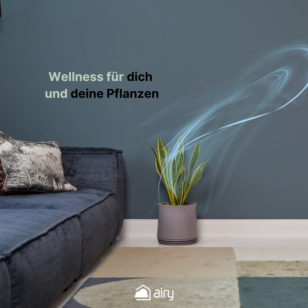 AIRY System M Bogenhanf Laurentii