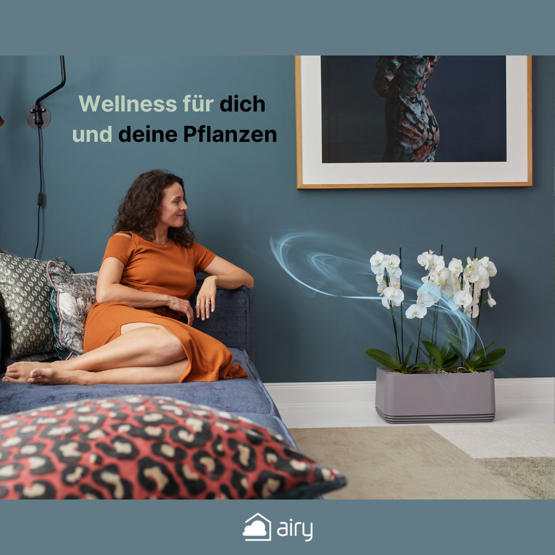 AIRY System L Orchidee