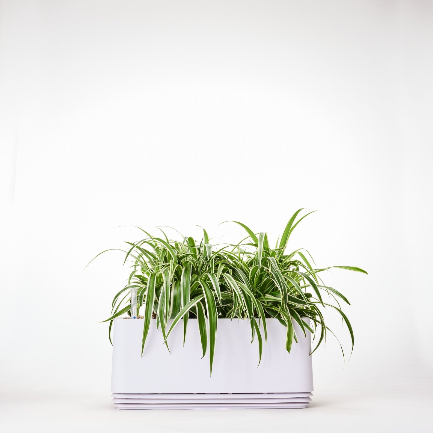 AIRY System L Grünlilie