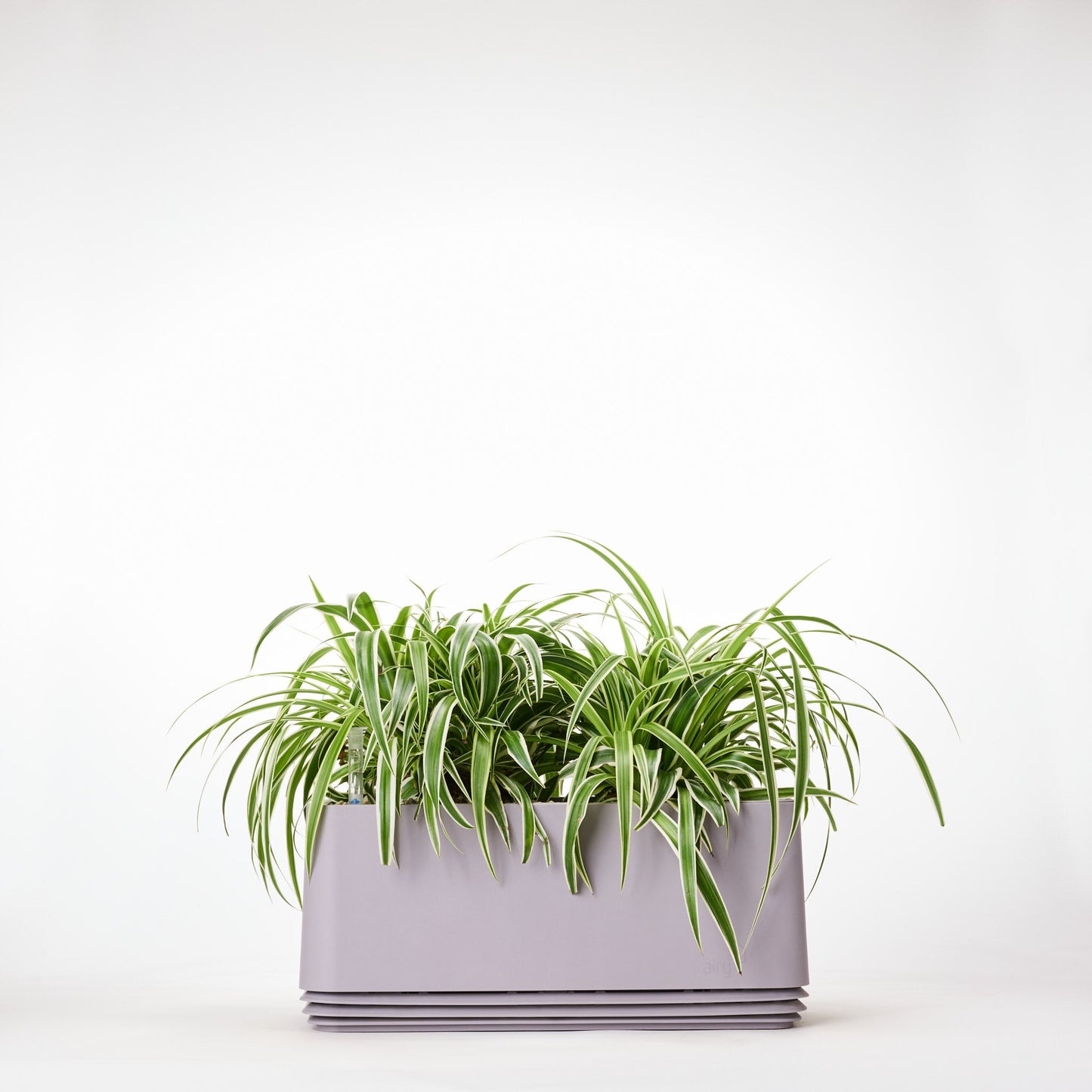 AIRY System L Grünlilie
