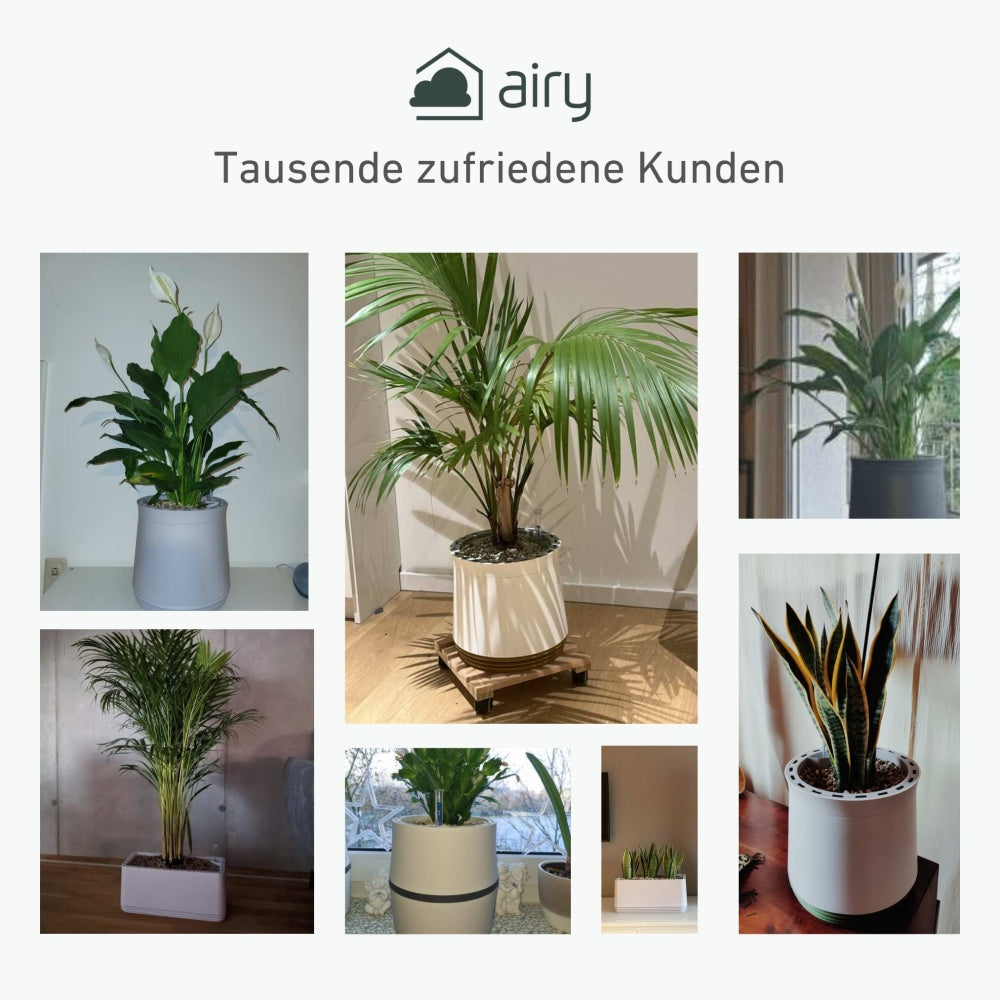 AIRY System L Bogenhanf Laurentii