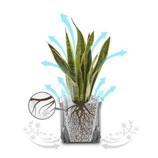 AIRY S inkl. Substrat (weiss-grau)