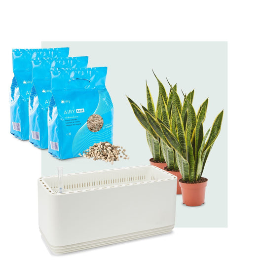 AIRY System L Bogenhanf Laurentii