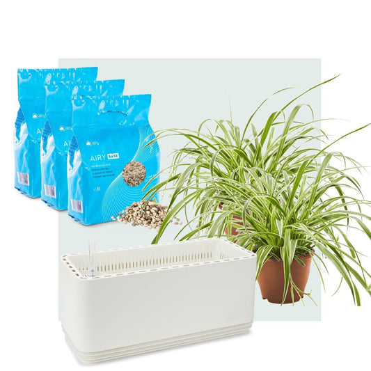 AIRY System L Grünlilie