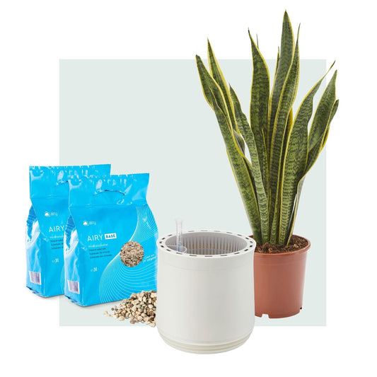 AIRY System M Bogenhanf Laurentii