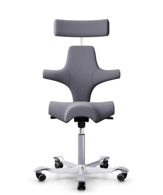 HÅG Capisco 8107 Xtreme Plus grau 081