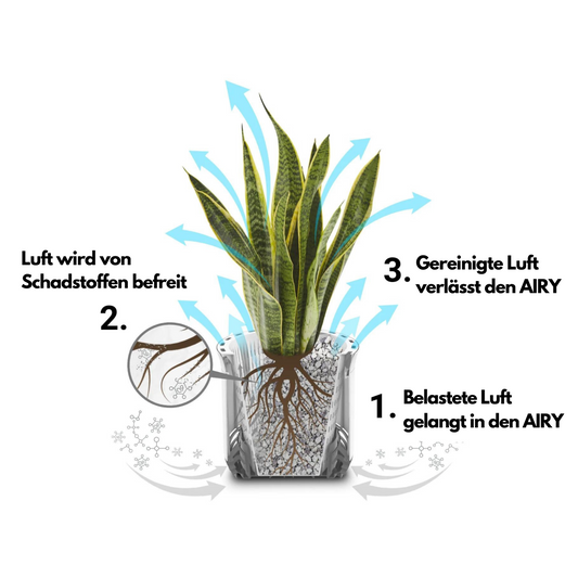 AIRY M inkl. Substrat (antikweiss-grau)
