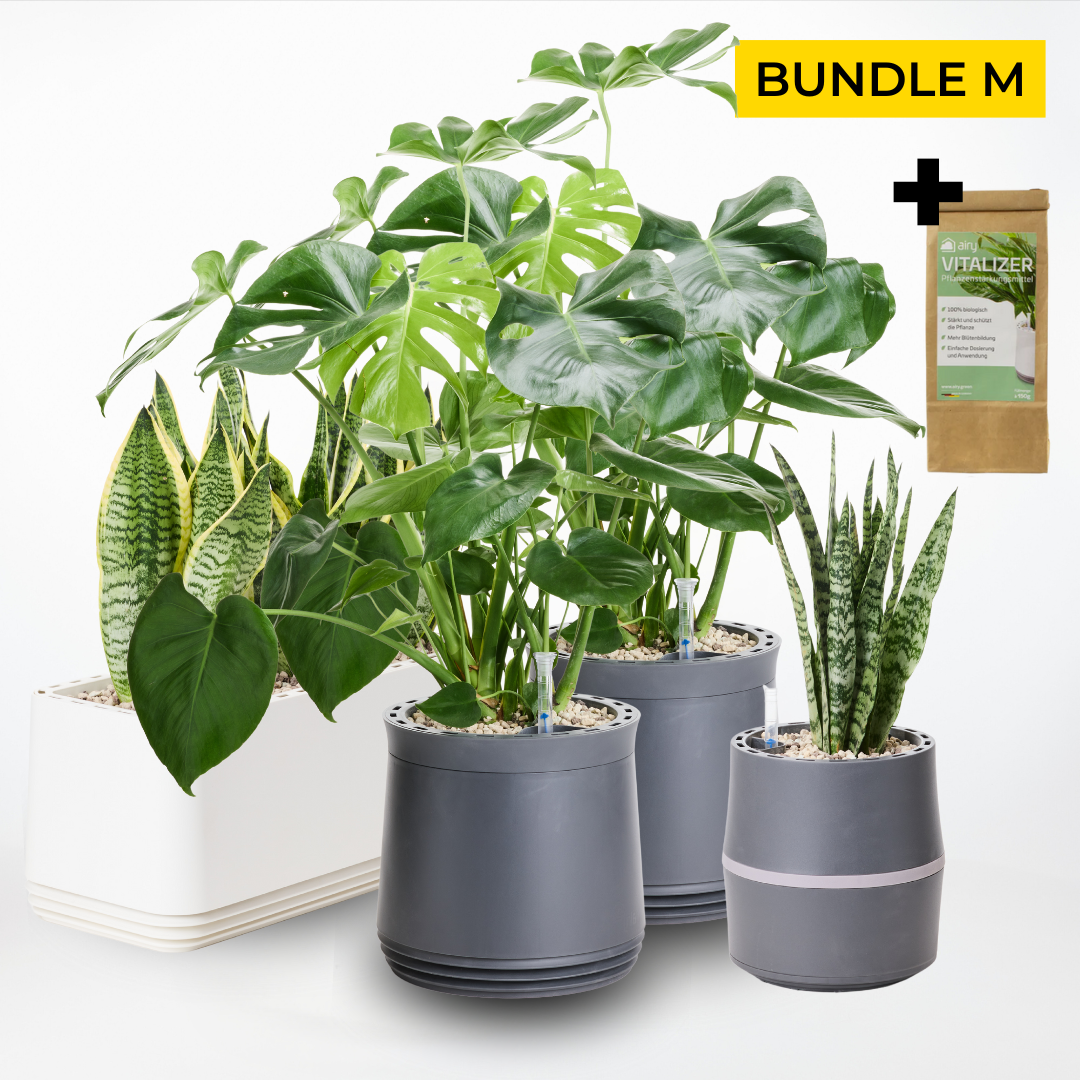 Wohlfühlraum Bundle M