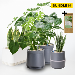 Wohlfühlraum Bundle M