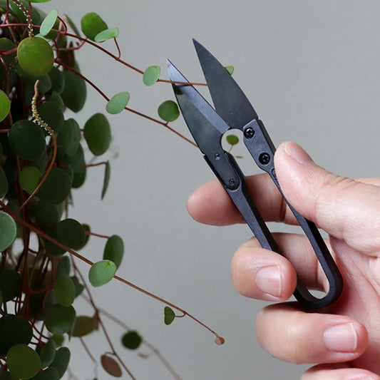 Kostenlose Mini-Schere