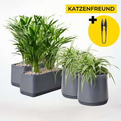 Katzenfreund