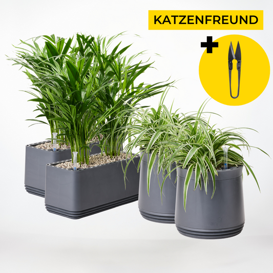 Katzenfreund