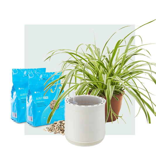 AIRY System M Grünlilie