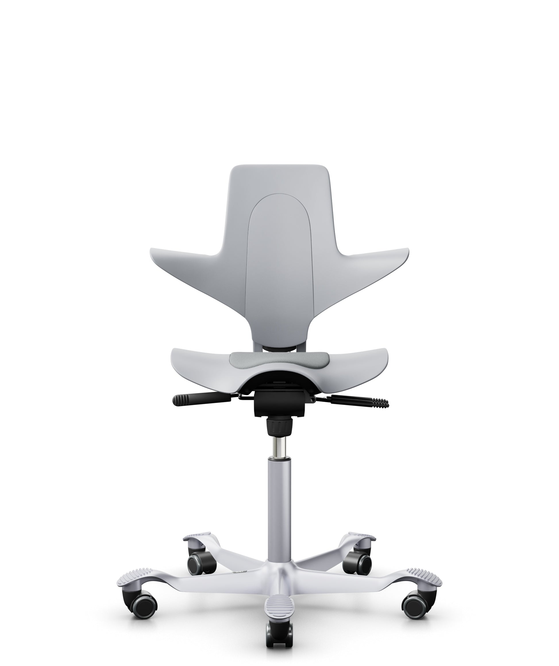 HAG Capisco Puls 8010 Select Light ash grey, SC60131